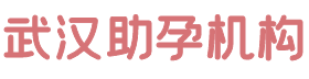 优孕国际医疗